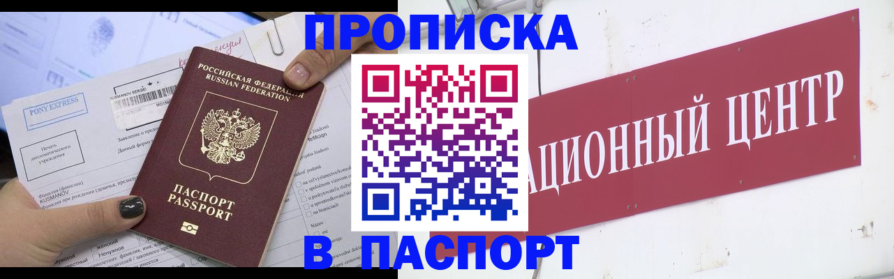 временная регистрация для всех в Павловске